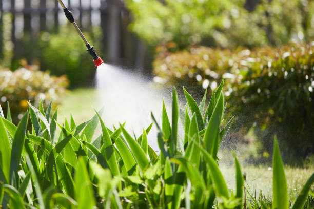 24/7 Emergency Cockroach Control experts in Teays Valley, WV