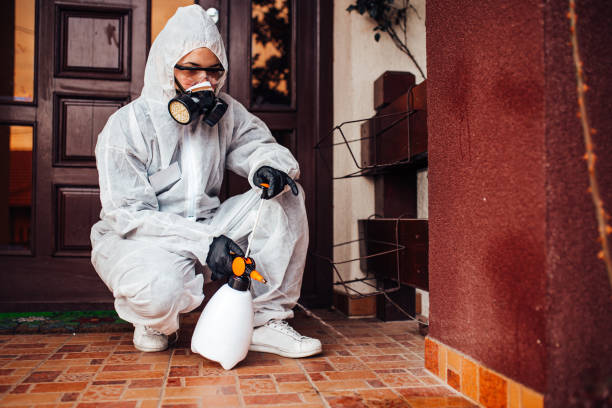 Reliable Cockroach Control contractor in Teays Valley, WV by Nex Pest Control