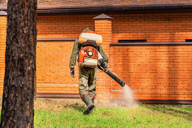 Trusted Emergency Pest Control service in Teays Valley, WV - Nex Pest Control
